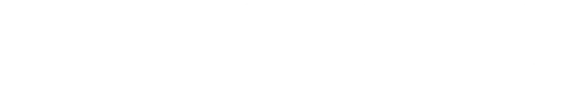 Metropolis
