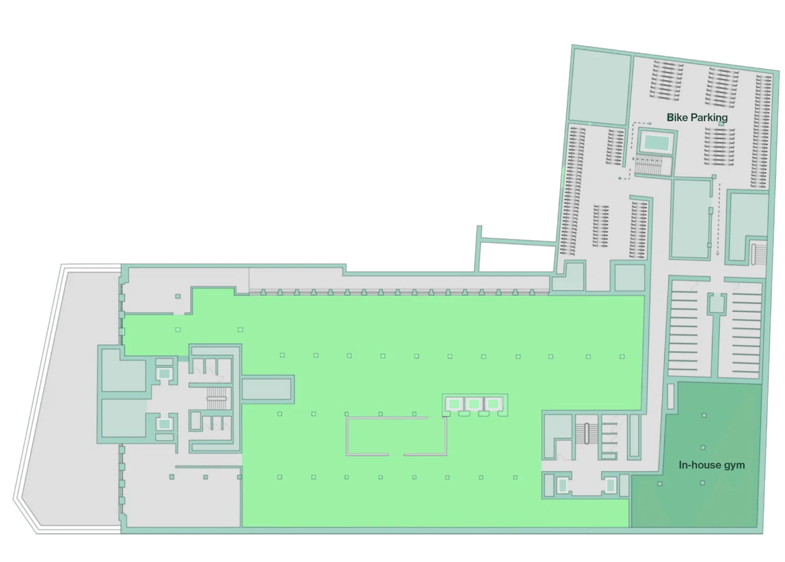 Lower ground floor floorplan
